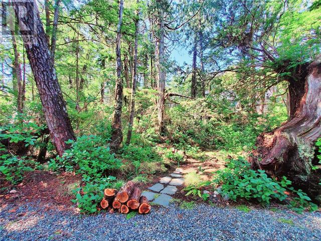 Enchanted forest beyond the back patio | Image 79