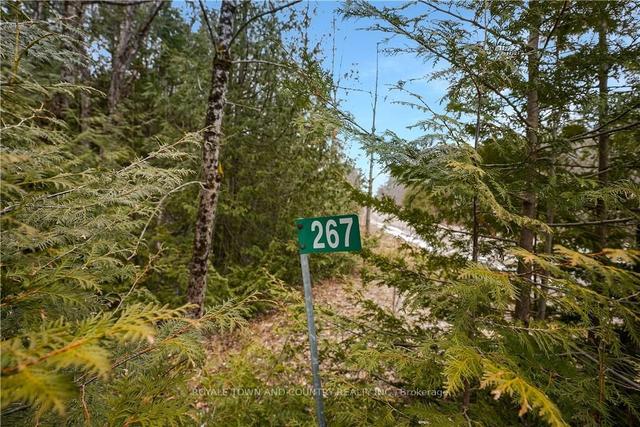267 Hilton's Point Rd, Home with 0 bedrooms, 0 bathrooms and null parking in Kawartha Lakes ON | Image 27