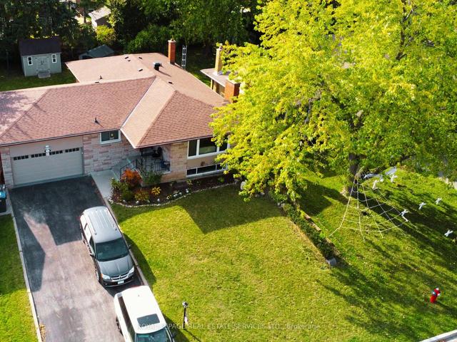 231 Elizabeth St S, House detached with 3 bedrooms, 5 bathrooms and 6 parking in Brampton ON | Image 12