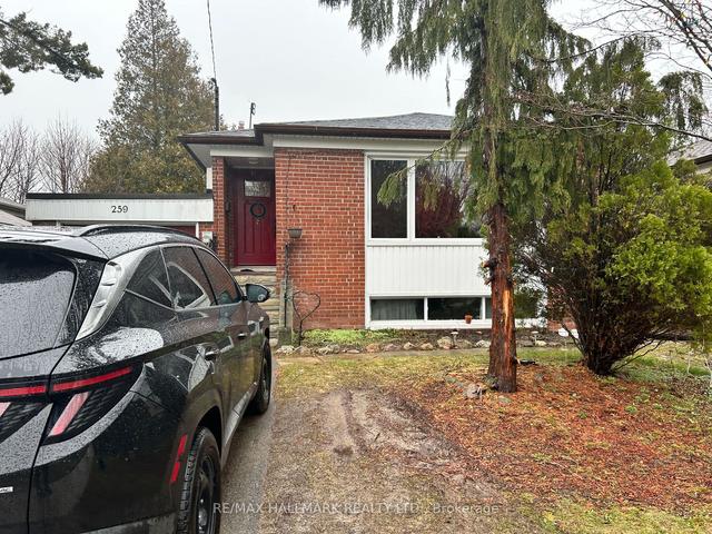 259 Chine Dr, House detached with 3 bedrooms, 3 bathrooms and 3 parking in Toronto ON | Image 1