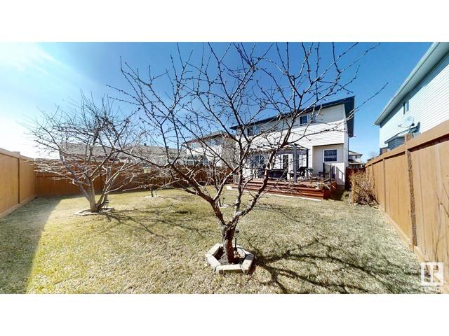 17455 89 St Nw, House detached with 3 bedrooms, 2 bathrooms and 4 parking in Edmonton AB | Image 59