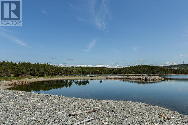 45 Atkins (Burnt Island) Road, House detached with 3 bedrooms, 2 bathrooms and null parking in Conception Bay South NL | Image 43