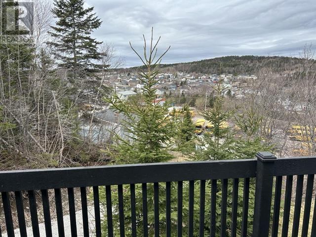 21 Gilbert Street, House detached with 3 bedrooms, 1 bathrooms and null parking in Corner Brook NL | Image 17