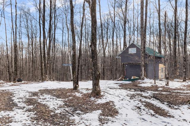 524 Black River Rd, House detached with 3 bedrooms, 3 bathrooms and 10 parking in Kawartha Lakes ON | Image 13
