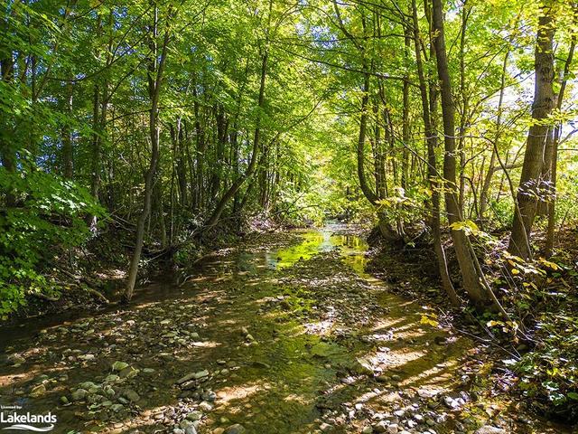 Creek at north side of property | Image 30