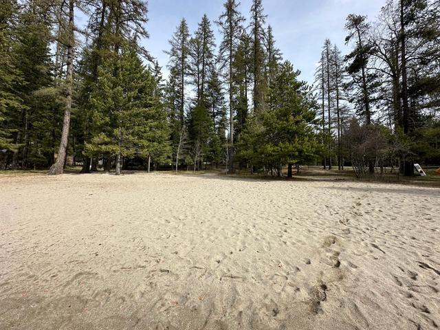 9653 Moyie Shores Estates Rd, House detached with 0 bedrooms, 0 bathrooms and null parking in East Kootenay C BC | Image 5