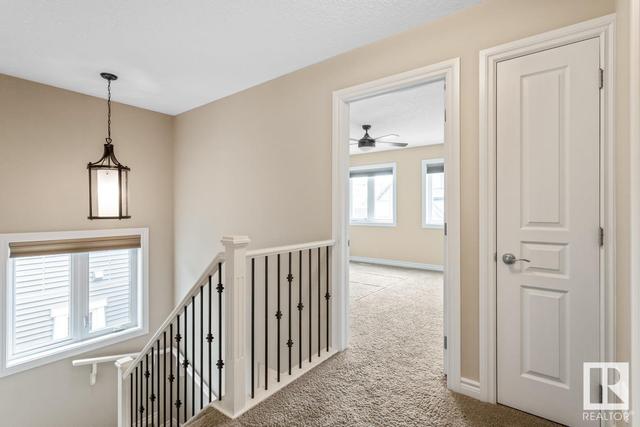 5612 Juchli Ave Nw, House detached with 3 bedrooms, 2 bathrooms and 2 parking in Edmonton AB | Image 20
