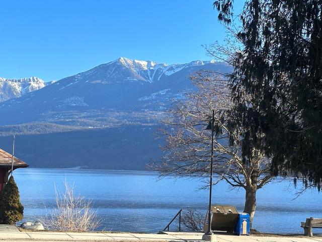 311 Front St, House detached with 3 bedrooms, 2 bathrooms and 4 parking in Kaslo BC | Image 2
