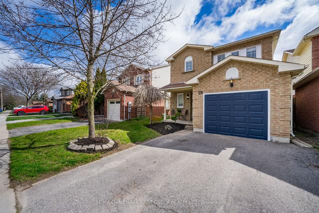 29 Mcmann Cres, House detached with 3 bedrooms, 2 bathrooms and 2 parking in Clarington ON | Image 12