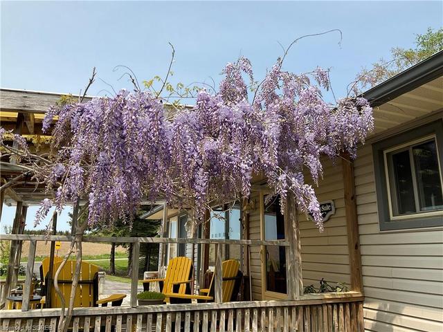 Wisteria by the front door | Image 17