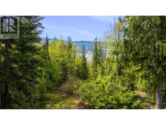 7430 Stampede Trail, House detached with 3 bedrooms, 2 bathrooms and 4 parking in Columbia Shuswap F BC | Image 71