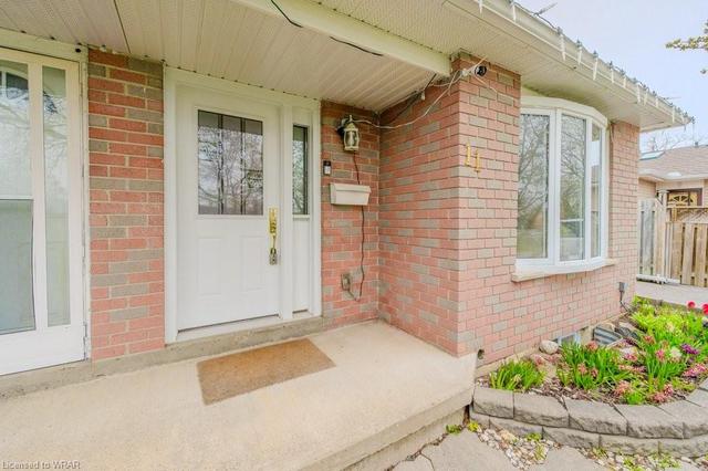 11 Eliot Pl, House semidetached with 5 bedrooms, 2 bathrooms and 4 parking in Guelph ON | Image 47
