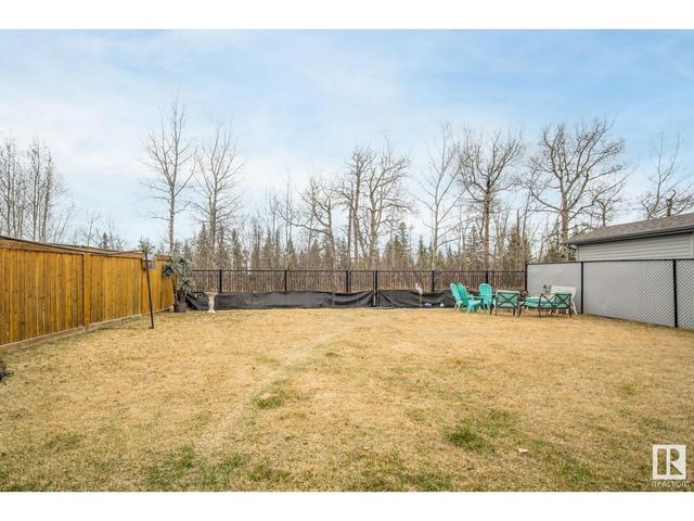 80 Ravine Dr, House detached with 5 bedrooms, 3 bathrooms and 5 parking in Devon AB | Image 50