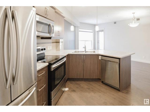 313 - 10523 123 St Nw, Condo with 1 bedrooms, 1 bathrooms and 1 parking in Edmonton AB | Image 3