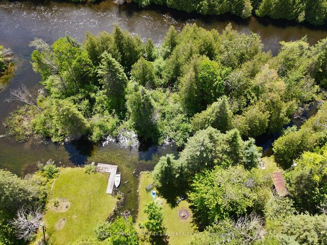 81 Mcguire Beach Rd, House detached with 2 bedrooms, 1 bathrooms and 11 parking in Kawartha Lakes ON | Image 32