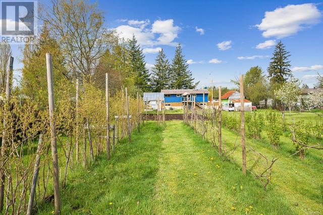 241 Petersen Rd, House detached with 3 bedrooms, 1 bathrooms and 5 parking in Campbell River BC | Image 14