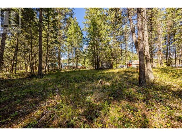 6580 Hwy 33 Hwy, House detached with 4 bedrooms, 2 bathrooms and 400 parking in Kootenay Boundary E BC | Image 20