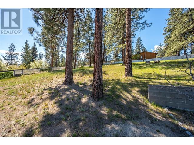 3808 Forsyth Dr, House detached with 6 bedrooms, 4 bathrooms and 2 parking in Okanagan Similkameen F BC | Image 46
