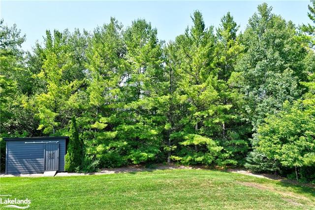 Storage Shed & More Trees | Image 28