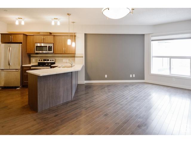 313 - 10523 123 St Nw, Condo with 1 bedrooms, 1 bathrooms and 1 parking in Edmonton AB | Image 7