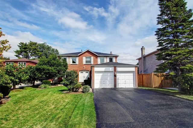 43 Birdsilver Gdns, House detached with 4 bedrooms, 4 bathrooms and 8 parking in Toronto ON | Image 33