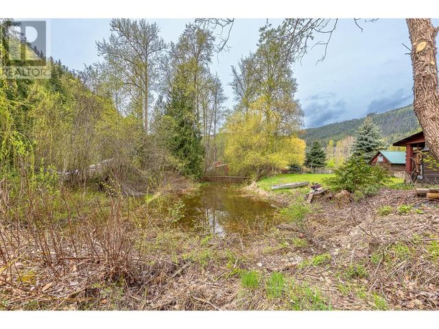 2370 Trans Canada Highway, House detached with 2 bedrooms, 1 bathrooms and 20 parking in Columbia Shuswap E BC | Image 66