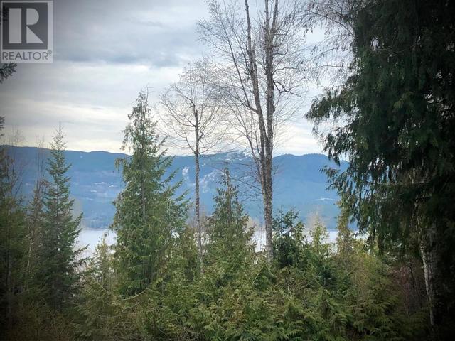 7430 Stampede Trail, House detached with 3 bedrooms, 2 bathrooms and 4 parking in Columbia Shuswap F BC | Image 68