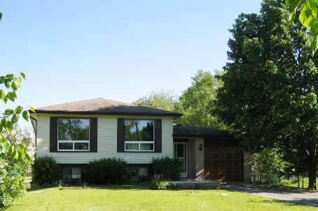 81 Sandra Dr, House detached with 3 bedrooms, 1 bathrooms and 8 parking in Georgina ON | Image 1