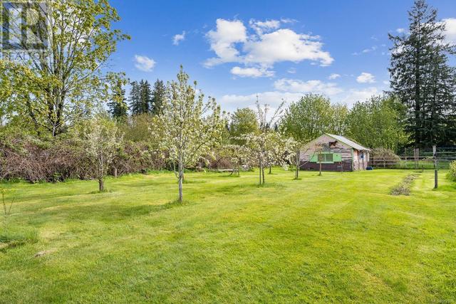 241 Petersen Rd, House detached with 3 bedrooms, 1 bathrooms and 5 parking in Campbell River BC | Image 10