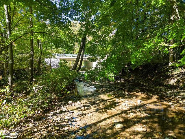 Creek at north side of property | Image 31