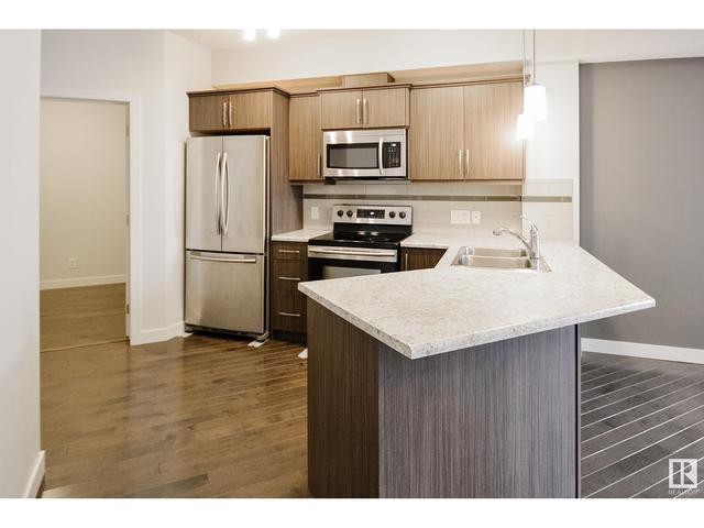 313 - 10523 123 St Nw, Condo with 1 bedrooms, 1 bathrooms and 1 parking in Edmonton AB | Image 5