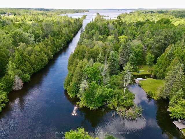 81 Mcguire Beach Rd, House detached with 2 bedrooms, 1 bathrooms and 11 parking in Kawartha Lakes ON | Image 1