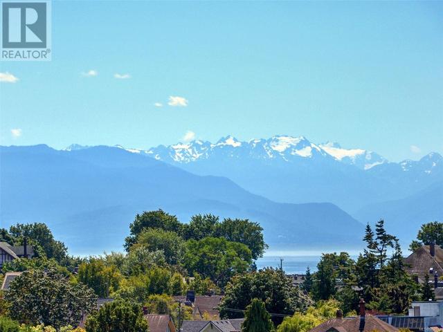 DISTANT OLYMPIC MOUNTAIN VIEWS | Image 2