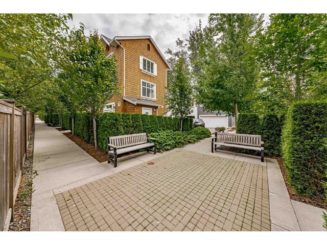 59 - 158 171 St, House attached with 4 bedrooms, 4 bathrooms and 2 parking in Surrey BC | Image 40