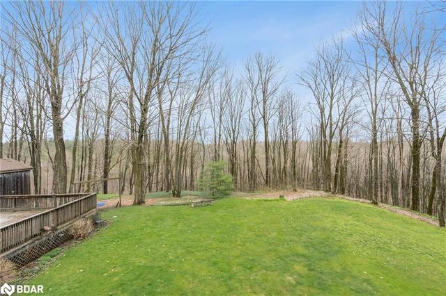 168 Bass Lake Sideroad W, House detached with 4 bedrooms, 2 bathrooms and 16 parking in Oro Medonte ON | Image 19