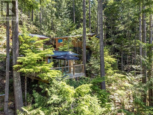 42 Baikie Dr, House detached with 2 bedrooms, 1 bathrooms and 2 parking in Strathcona D (Oyster Bay   Buttle Lake) BC | Image 53