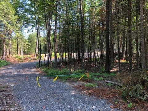 0 Limerick Lake Rd, Limerick, ON, K0L1W0 | Card Image