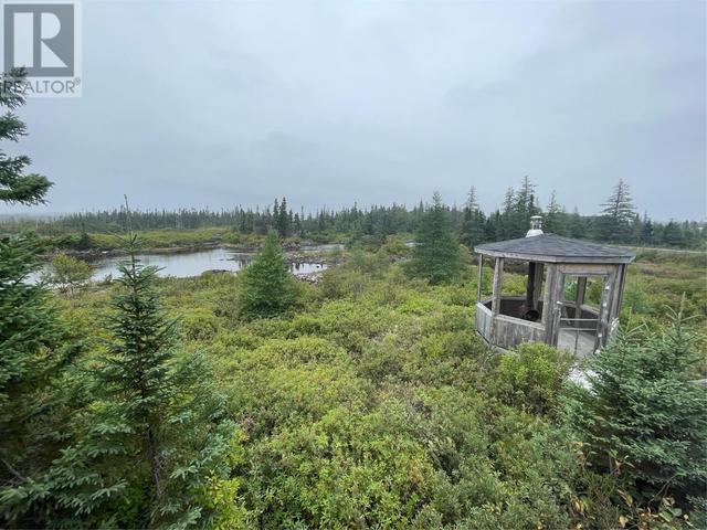 1 Trans Canada Trail, House detached with 2 bedrooms, 1 bathrooms and null parking in Division No.  7, Subd. D NL | Image 23