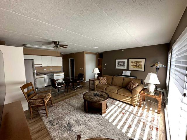 302 - 203 Centre St N, Condo with 1 bedrooms, 1 bathrooms and 1 parking in Sundre AB | Image 6