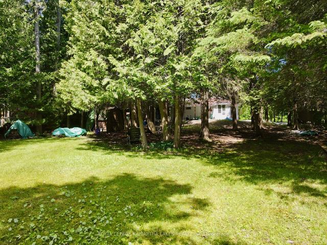 81 Mcguire Beach Rd, House detached with 2 bedrooms, 1 bathrooms and 11 parking in Kawartha Lakes ON | Image 31