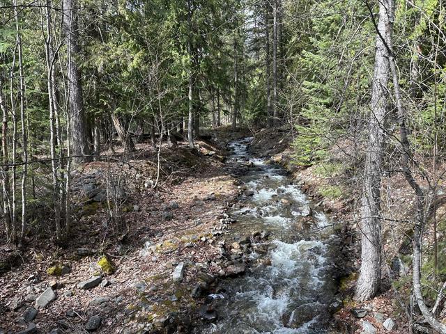 9653 Moyie Shores Estates Rd, House detached with 0 bedrooms, 0 bathrooms and null parking in East Kootenay C BC | Image 16