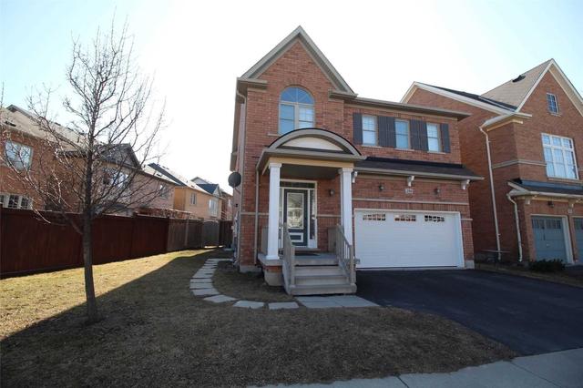 LOWER - 256 Scott Blvd, Home with 1 bedrooms, 1 bathrooms and 1 parking in Milton ON | Image 8