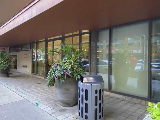 206 - 111 Elizabeth St, Condo with 1 bedrooms, 1 bathrooms and 1 parking in Toronto ON | Image 9