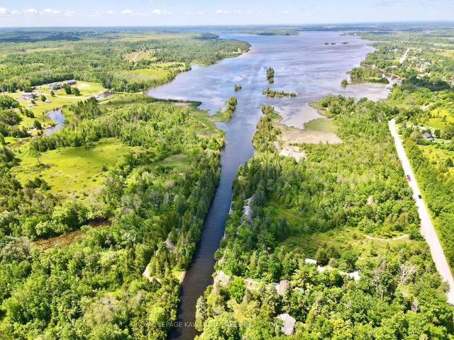 81 Mcguire Beach Rd, House detached with 2 bedrooms, 1 bathrooms and 11 parking in Kawartha Lakes ON | Image 37