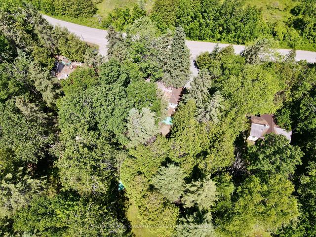 81 Mcguire Beach Rd, House detached with 2 bedrooms, 1 bathrooms and 11 parking in Kawartha Lakes ON | Image 33