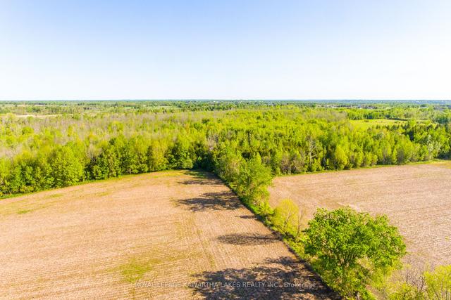 0 W1/2 Lot2 C2 Harvest Rd, Home with 0 bedrooms, 0 bathrooms and null parking in Kawartha Lakes ON | Image 2
