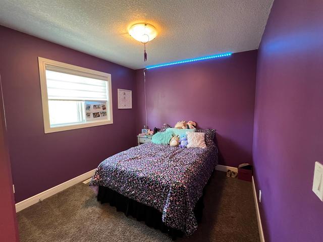 8642 117 Avenue, House detached with 4 bedrooms, 3 bathrooms and 5 parking in Grande Prairie AB | Image 24