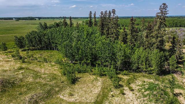 3344 Township Road 370, House detached with 2 bedrooms, 1 bathrooms and null parking in Red Deer County AB | Image 31