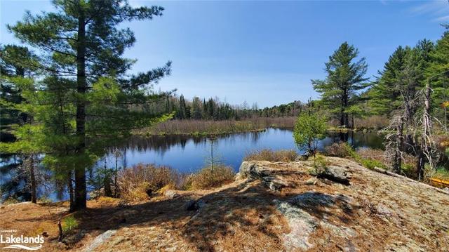1757 Bear Cave Road, House detached with 2 bedrooms, 1 bathrooms and 8 parking in Muskoka Lakes ON | Image 27