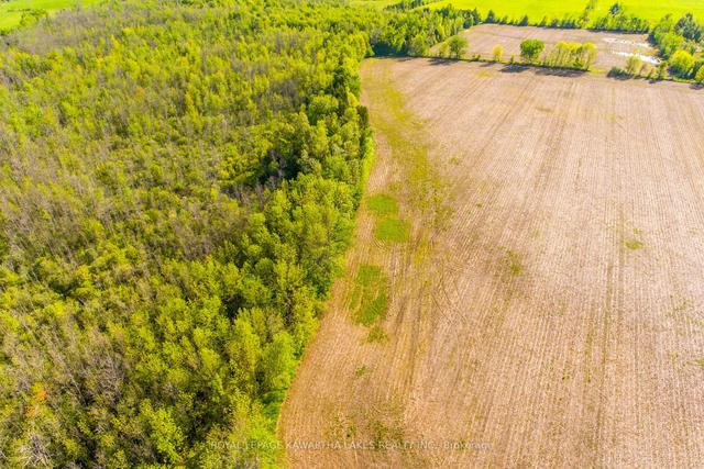 0 W1/2 Lot2 C2 Harvest Rd, Home with 0 bedrooms, 0 bathrooms and null parking in Kawartha Lakes ON | Image 8